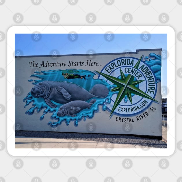 Crystal River, Florida, Mural Sticker by irishmurr